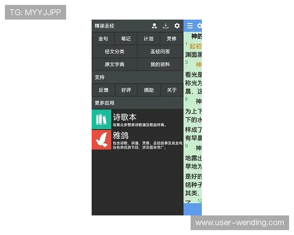 问鼎官方下载网址官方入口地址，详细介绍软件下载流程和常见问题解答