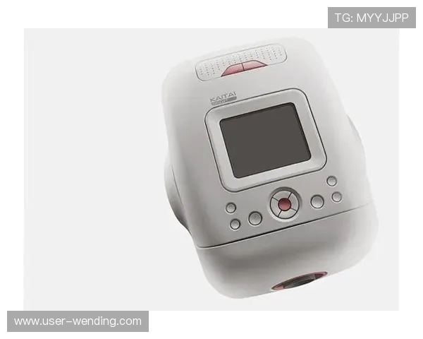 问鼎网址官方地址访问指南，确保每次登录都安全可靠的详细流程