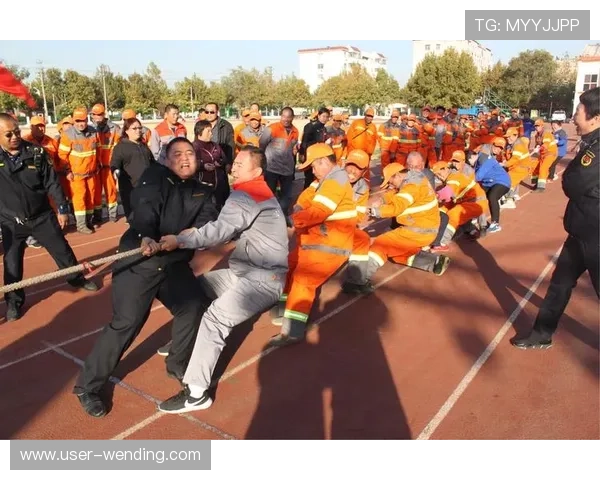 问鼎网页版如何快速上手提升你的竞技水平