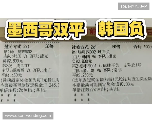 2026年世界杯南非对阵韩国比赛进球数预测分析与专家观点